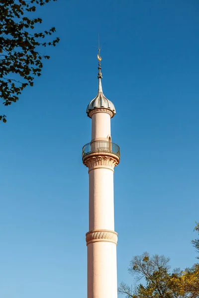 Schwetzingen Németország Április 2019 Csodálatos Park Rózsaszín Mecset Tavasszal Schwetzingen — Stock Fotó