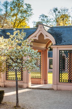 Schwetzingen, Almanya - 19 Nisan 2019: Baharda Pembe Cami ile muhteşem bir park. Schwetzingen, Almanya