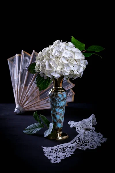 White Hydrangea Vase Black Background — Stock Photo, Image