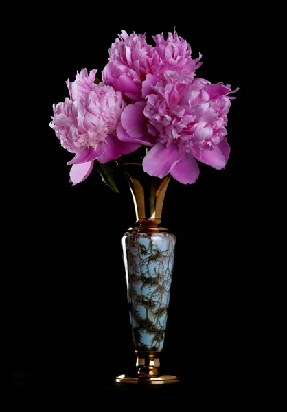 黒を背景に花瓶にピンクの牡丹 — ストック写真