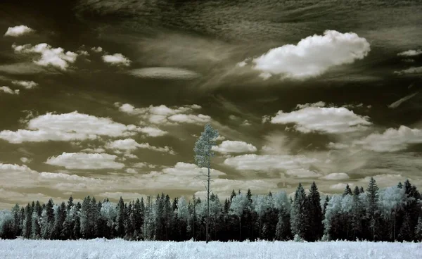 Нарушен Черно Белый Пейзаж Темное Небо Создает Драматический Эффект — стоковое фото