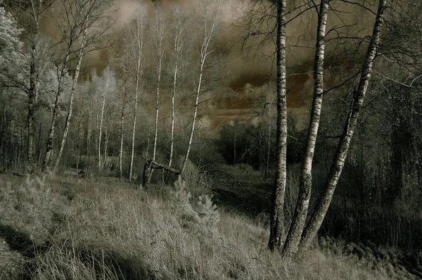 Нарушен Черно Белый Пейзаж Темное Небо Создает Драматический Эффект — стоковое фото