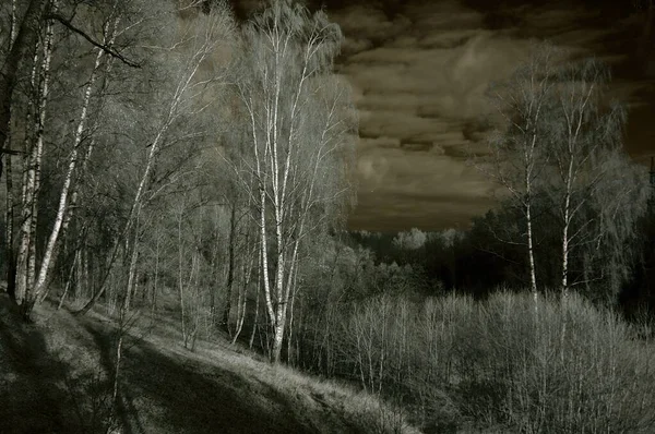 Paisaje Blanco Negro Infrarrojo Cielo Oscuro Crea Efecto Dramático —  Fotos de Stock