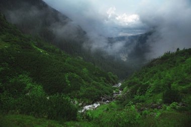 Güzel dağ manzarası içinde Transfagarasan. Romanya. Şelale.