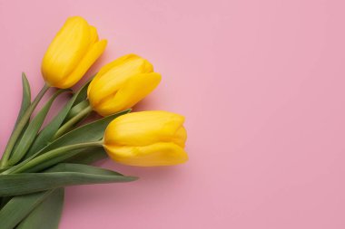Pembe arka planda taze bahar sarı çiçek lalelerinin renkli fotoğrafı. Mutlu Paskalyalar ve Anneler Günü kartları..