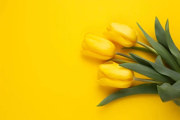 Кольорове фото свіжих пружинних квіткових тюльпанів на жовтому тлі. Щасливої Великодня і матерів день. — стокове фото