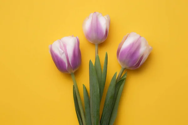 Photo colorée de tulipes fraîches de fleurs de printemps sur fond jaune. Joyeuse carte Pâques et Fête des Mères . — Photo