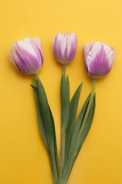 Photo colorée de tulipes fraîches de fleurs de printemps sur fond jaune. Joyeuse carte Pâques et Fête des Mères . — Photo