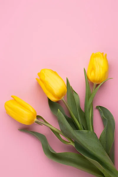 Кольорове фото свіжих пружинних жовтих квіткових тюльпанів на рожевому тлі. Щасливої Великодня і матерів день. — стокове фото