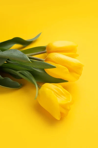 Photo colorée de tulipes fraîches de fleurs de printemps sur fond jaune. Joyeuse carte Pâques et Fête des Mères . — Photo