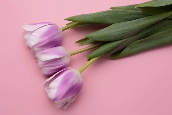 Photo colorée de tulipes fraîches de fleurs de printemps sur fond rose. Joyeuse carte Pâques et Fête des Mères . — Photo