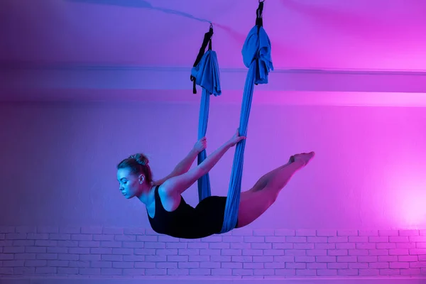 Nazik zinde genç bir kadın yoga stüdyosunda hamakla sinek yogası yapıyor..