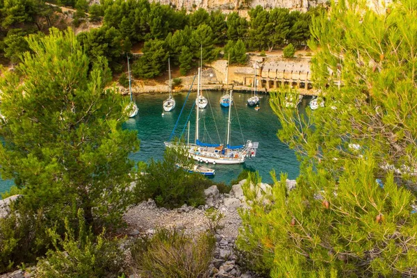 Calanque Port Pin Cassis — Stock Photo, Image