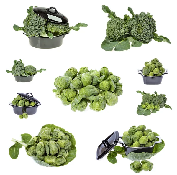 Brocoli frais et choux de Bruxelles — Photo