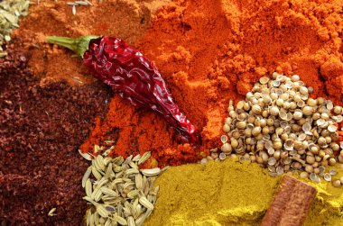 Baharat karışımı ahşap arka plan üzerinde