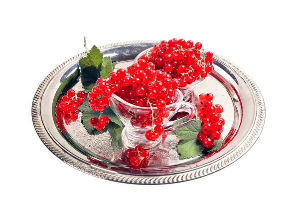 Red currants In a metal bowl — Stock Photo, Image