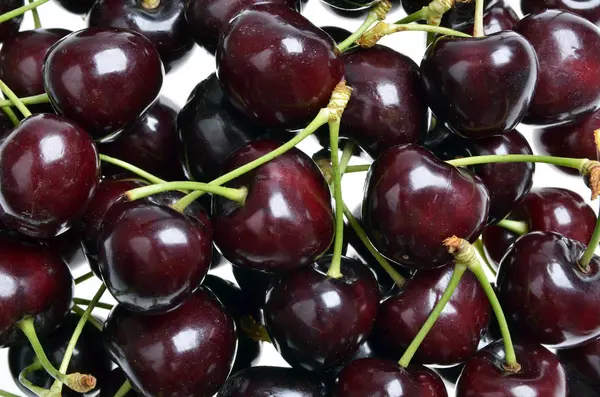 Bouquet de cerises douces noires fraîches — Photo