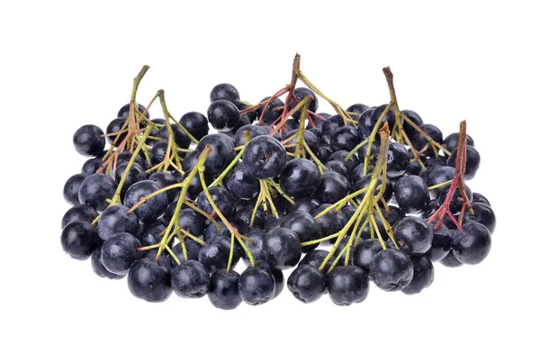 Black aronia ( chokeberry)  isolated — Stock Photo, Image