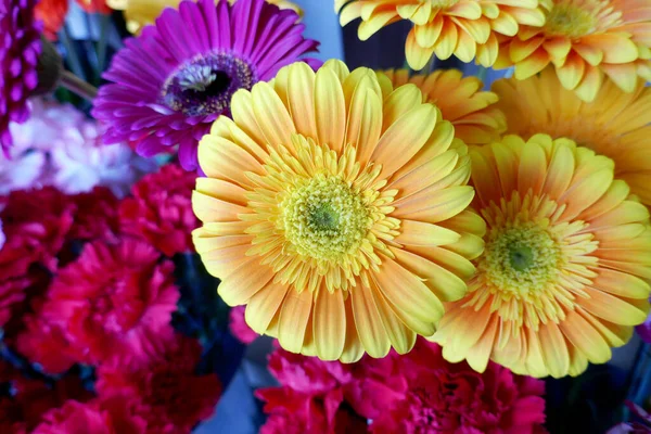 Fundo Flores Festivas Primavera Para Celebrar Uma Ocasião Especial Férias Fotos De Bancos De Imagens