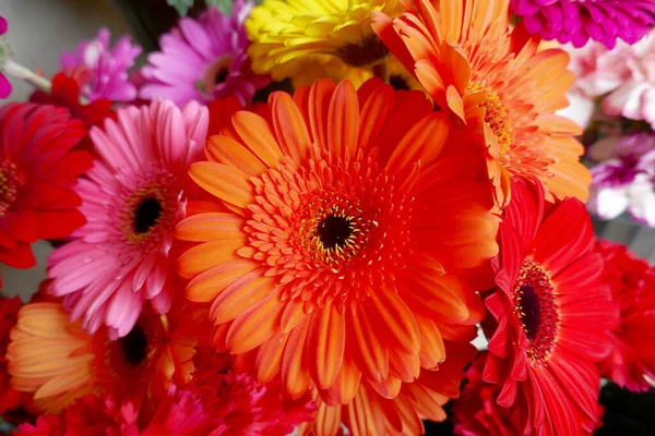 Festlig Vår Blommor Bakgrund För Att Fira Ett Speciellt Tillfälle Stockfoto