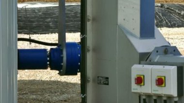 Biyo gaz üretimi için bitki