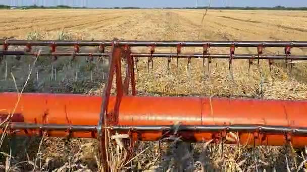 Récolteuse de blé dans le travail 