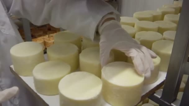 Lagerställe för att lagra ost — Stockvideo
