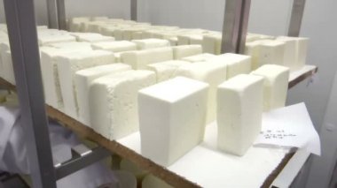 Ev yapımı peynir rulo soğuk depoda tutmak