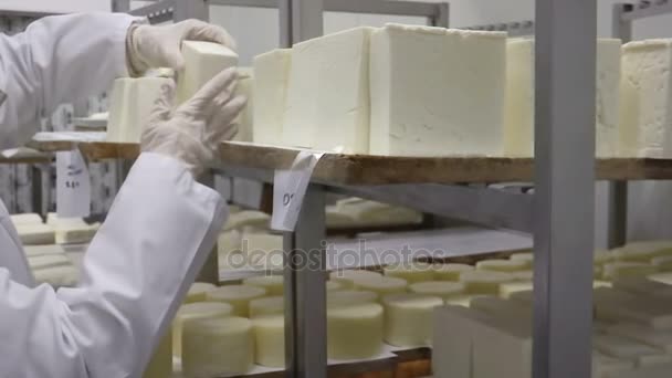 Подготовка и хранение сыра — стоковое видео