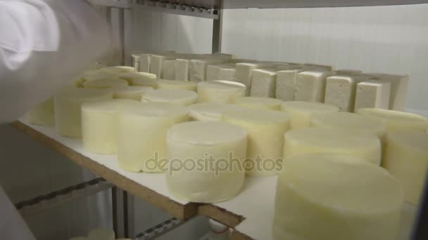 Produção de queijo de cabra caseiro — Vídeo de Stock