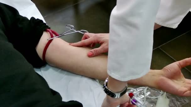 Phlebotomist preparing patient to donate blood — Stock Video
