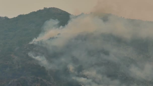 Conflagración en el bosque en la cima de la montaña — Vídeo de stock