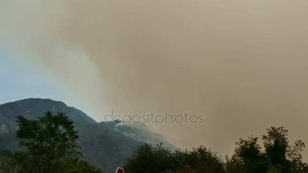 Incendio forestal en la montaña — Vídeo de stock