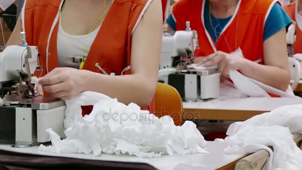 Vrouwelijke werknemers op de inzaai machines — Stockvideo