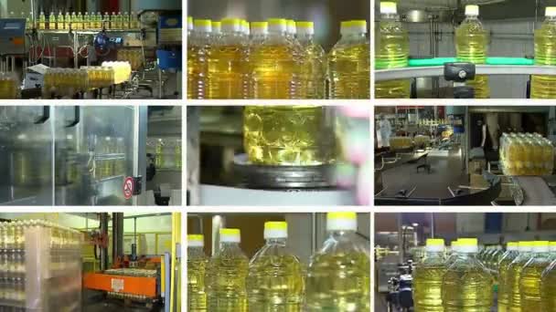 Sunflower oil on the production line- multi screen — Stock Video