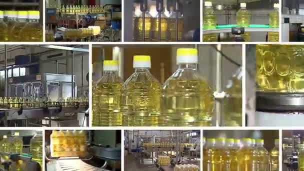 Производство рафинированного подсолнечного масла на нескольких экранах — стоковое видео
