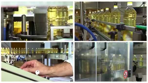 Factory for the production of refined sunflower oil — Stock Video