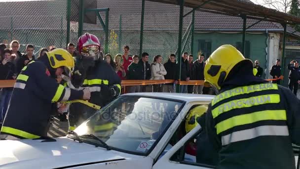尼亚宁 塞尔维亚 2017 Team 消防人员在事故现场抢救 消防员救援队打破汽车玻璃 以节省受伤司机 示范演习 — 图库视频影像
