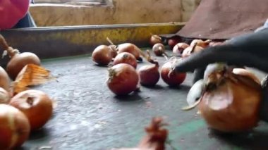 Üretim satırında soğan / işçilerin Konveyör bant seçin aile içi kırmızı soğan