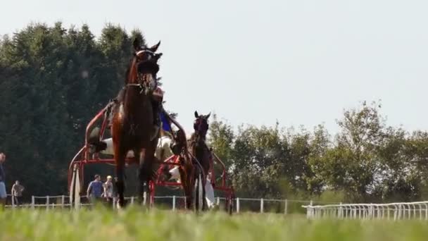 Backa Palanka ; Serbia ; 09/27-29/2019. Studs Karadjordjevo ; Serbian Cup Harness horse- Racing Horses Trots On A Track Of Stadium — Stock Footage Backa Palanka Serbia 2019 Studs Karadjordjevo Serbian Cup Harness Horse Royalty Free Stock Footage