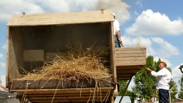 Novo Milosevo Servië 2019 Zeravica Museum Van Oude Machines Hoe — Stockvideo