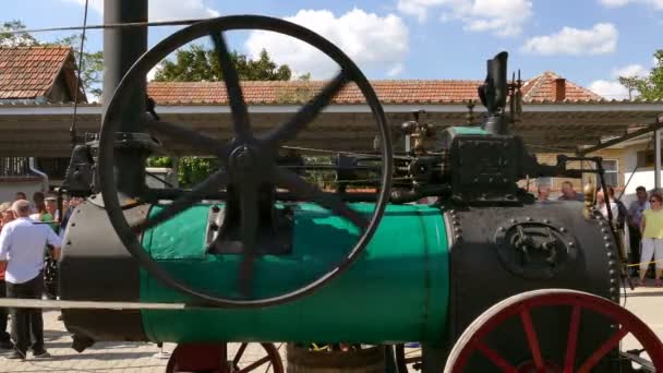 Novo Milosevo Serbia 2019 Zeravica Museum Old Machinery How Threshing — Stock Video