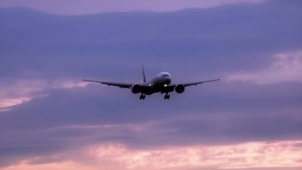 Vliegtuig Lucht Bij Zonsondergang Het Vliegtuig Landt Bij Zonsondergang Luchthaven — Stockvideo