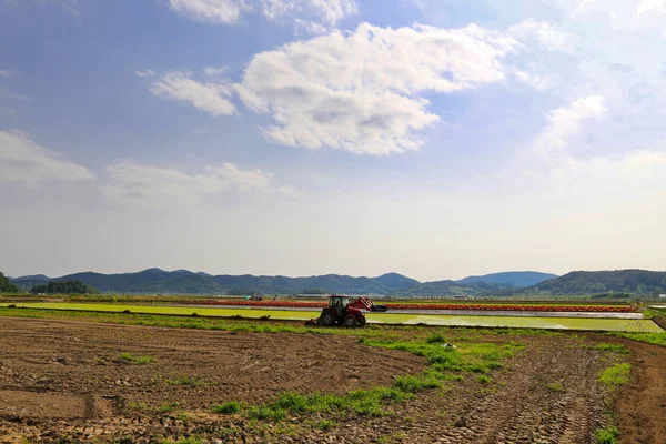 Sebuah Traktor Yang Digunakan Untuk Pertanian Pada Hari Yang Cerah — Stok Foto
