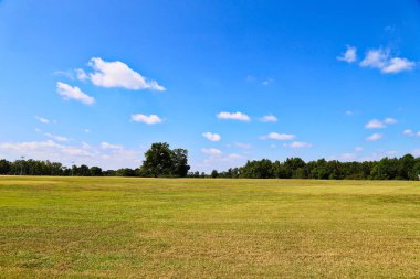 Yeşil alanlar ve mavi gökyüzü