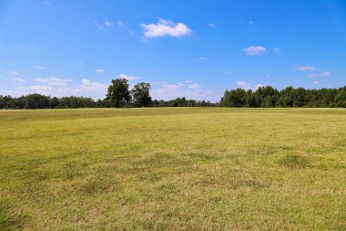 Yeşil alanlar ve mavi gökyüzü
