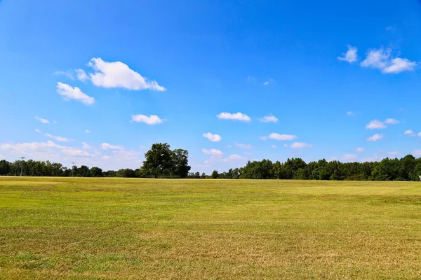 Grüne Felder Und Blauer Himmel — Stockfoto