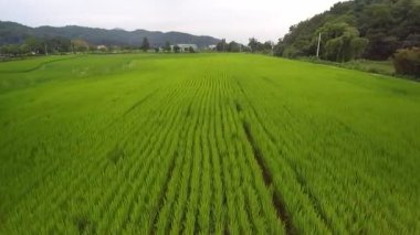 Tarafından filme alan drones