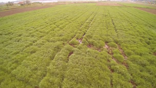 Par drones Un champ de tournage 