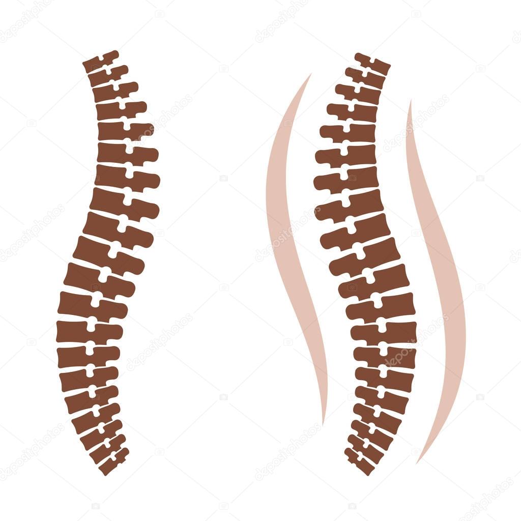 human spine silhouettes